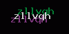 Visual Verification